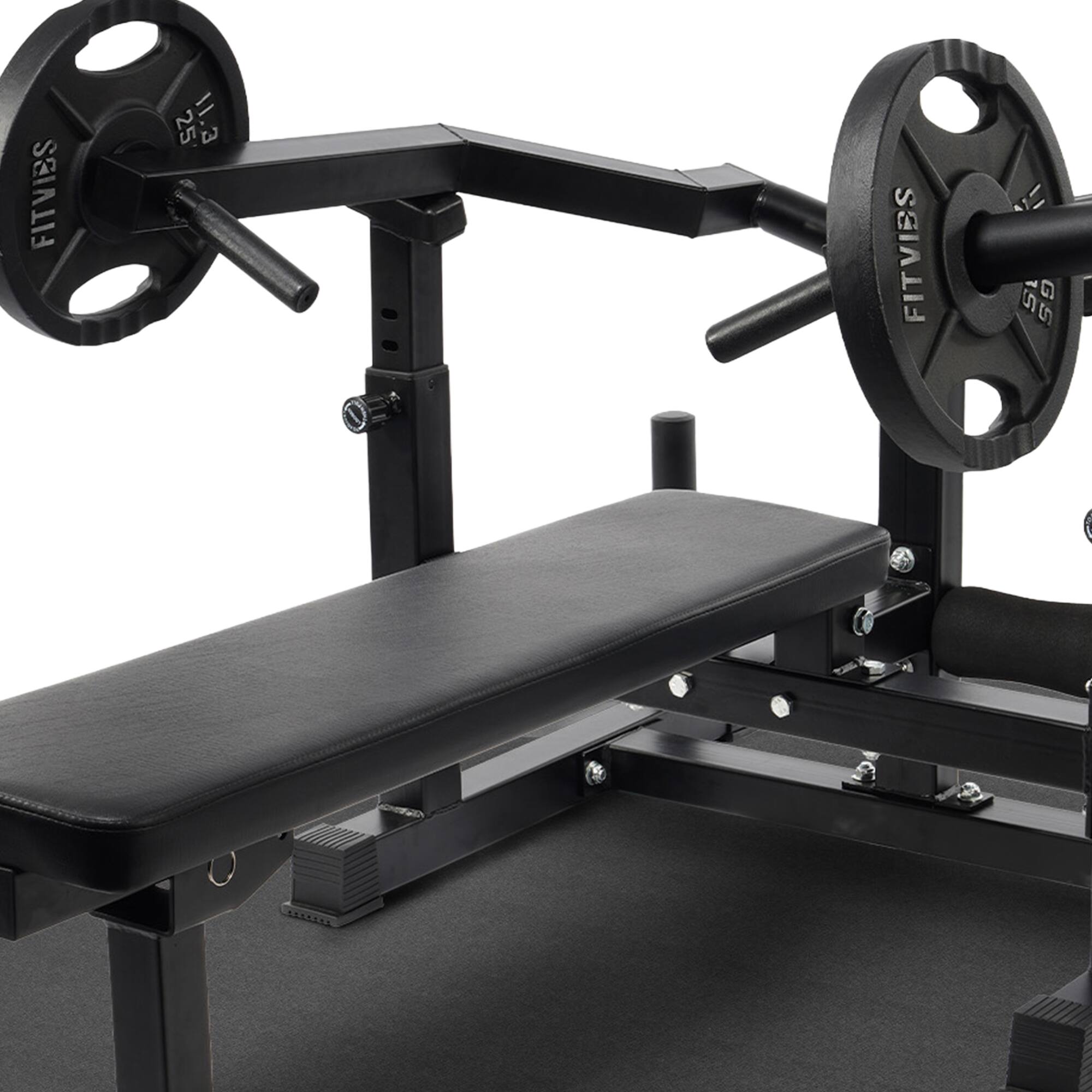 FITVIES 25 11.3 a FITVIES Si G 00