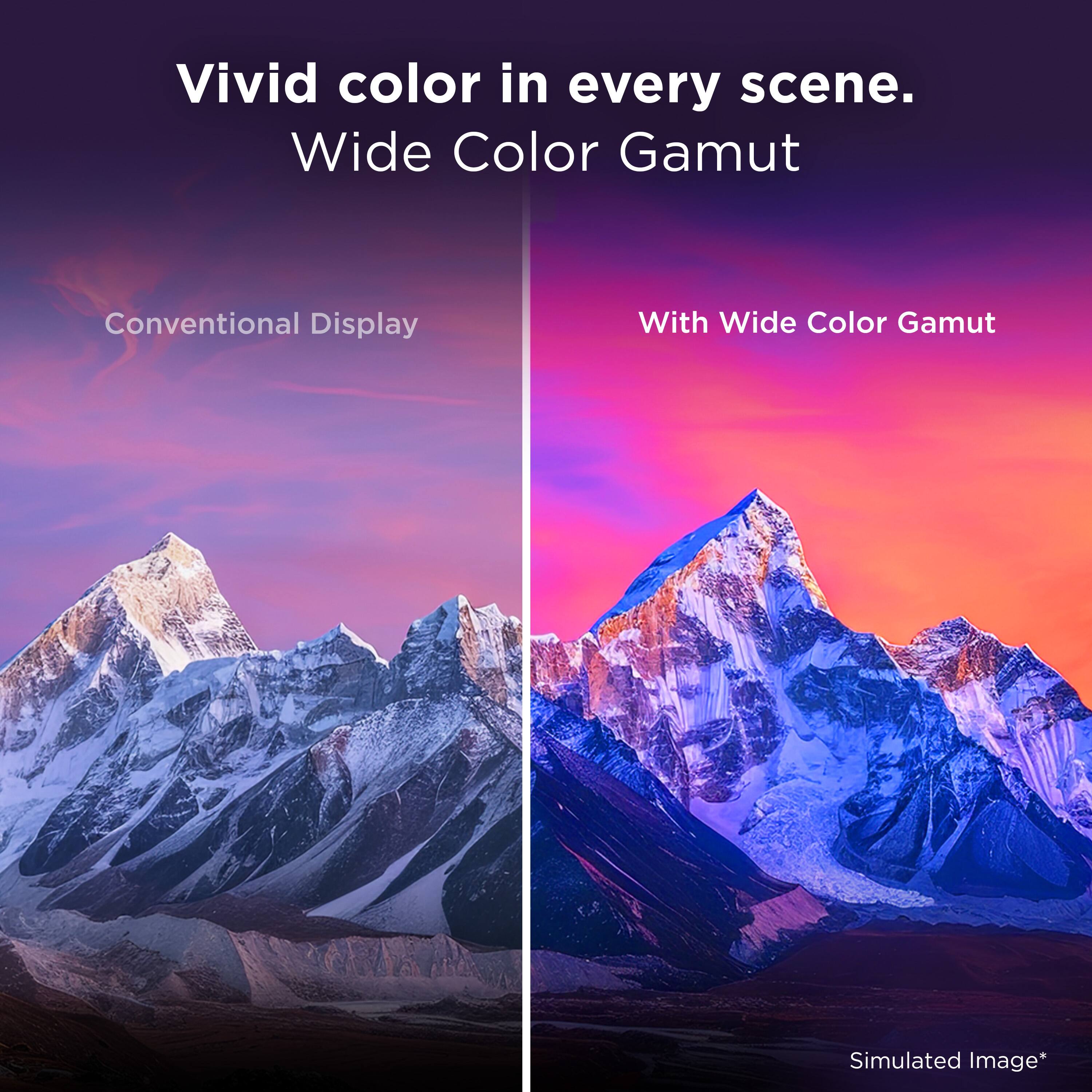 Vivid color in every scene.  
Wide Color Gamut  
Conventional Display  
With Wide Color Gamut  
Simulated Image*