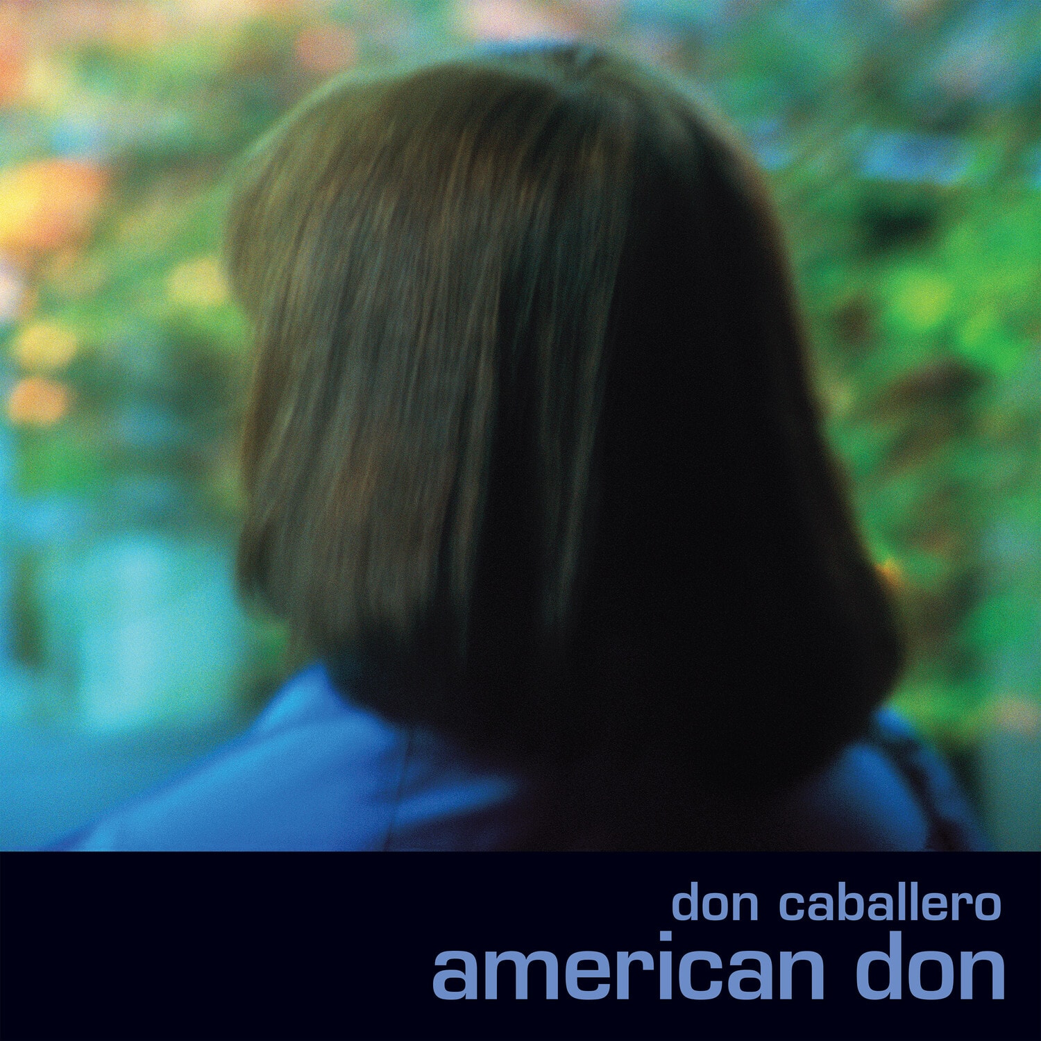 Don Caballero - American Don - Blue/Purple   - VINYL LP price history on PriceWatchPro