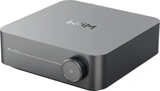 Wiim Amp
