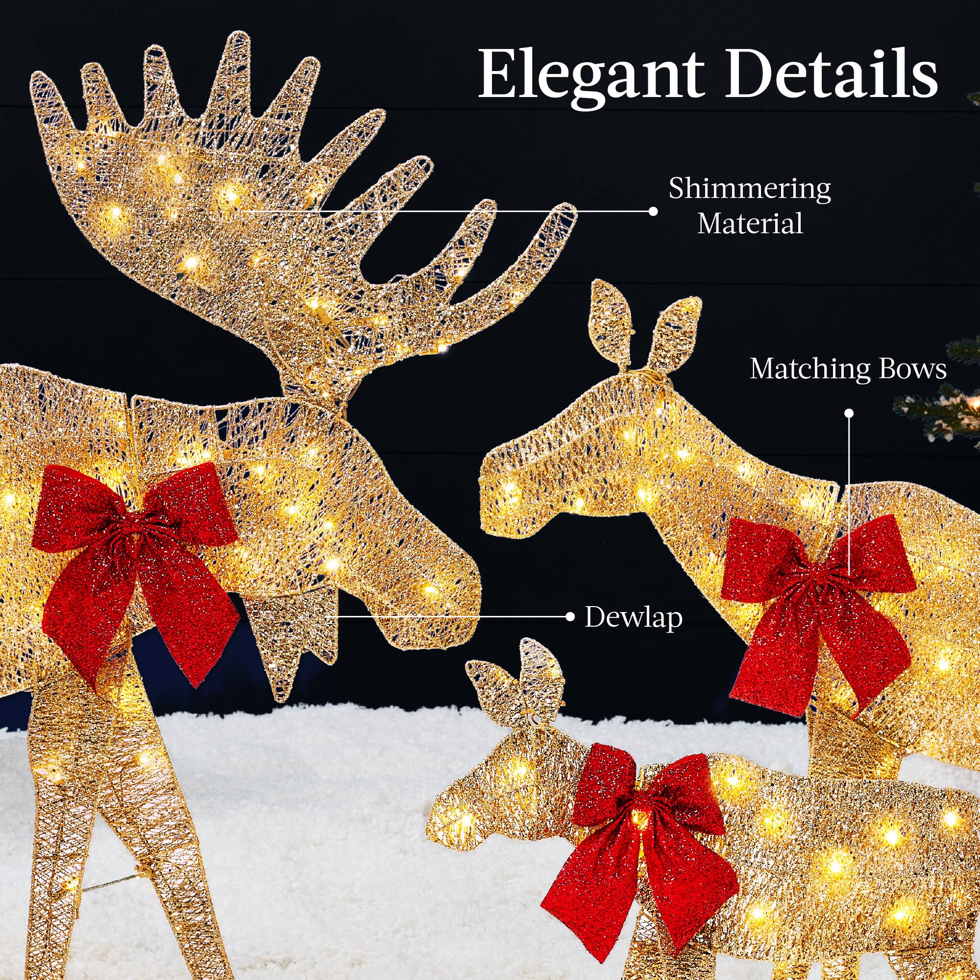 Elegant Details

Shimmering Material

Matching Bows

Dewlap