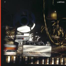 Lary 7 - Larynx - VINYL LP