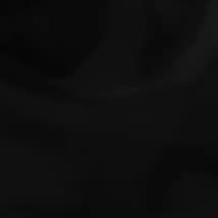Front. Advantage - Advantage Gripware 12x12' Solid Super Black Light Blocking Material.