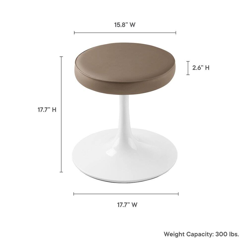 15.8" W  
2.6" H  
17.7" H  
17.7" W  
Weight Capacity: 300 lbs.