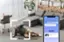 Alt View 13. OLA USA - Ask OLA! 2 Way Voice Command Smart Security Camera w/Fall Detection 1 Pack - White.
