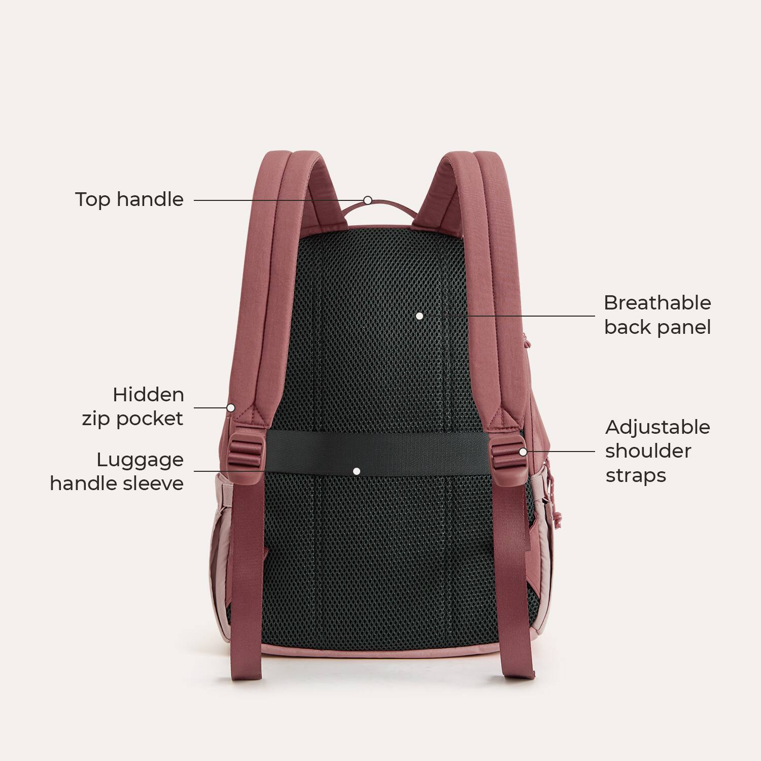 Top handle  
Breathable back panel  
Hidden zip pocket  
Luggage handle sleeve  
Adjustable shoulder straps
