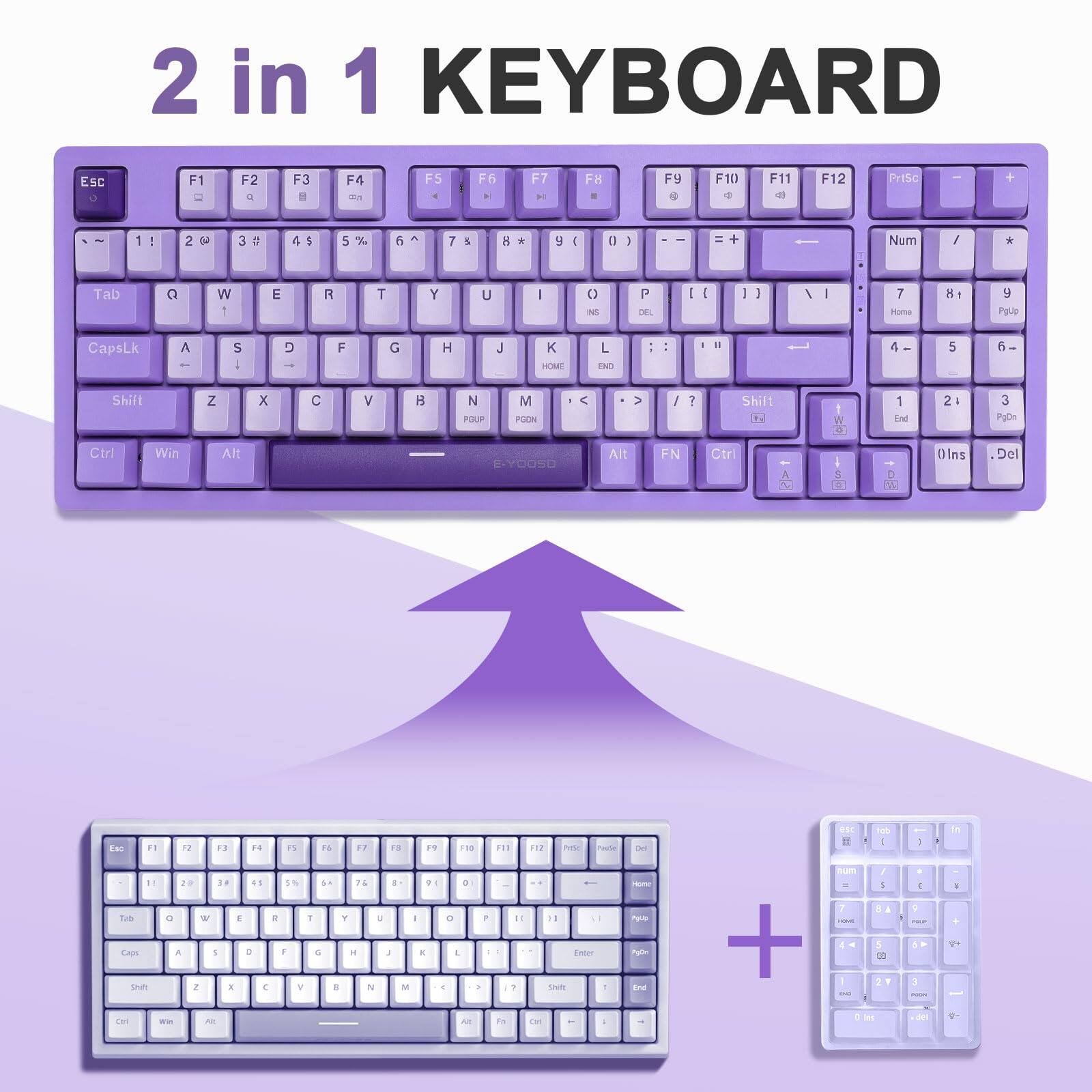 2 in 1 KEYBOARD

Esc F1 F2 F3 F4 F5 F6 F7 F8 F9 F10 F11 F12 PrtSc

1 ! 2 @ 3 # 4 $ 5 % 6 ^ 7 & 8 * 9 ( 0 ) - = Backspace

Tab Q W E R T Y U I O P [ ] \

CapsLk A S D F G H J K L ; ' Enter

Shift Z X C V B N M , . / Shift

Ctrl Win Alt Spacebar Alt FN Ctrl

Num 7 8 9 / * - 0 + Num

Home 4 5 6 PgUp

End 1 2 3 PgDn

Insert Delete