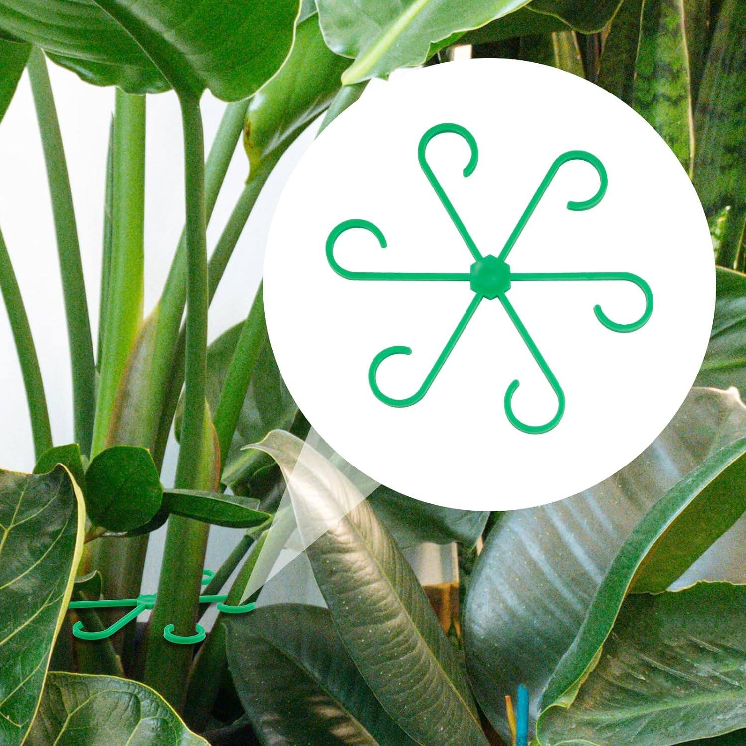 Auledio 4 Pack Climbing Indoor Plant Stem Stands, Plastic Plant Climber ...