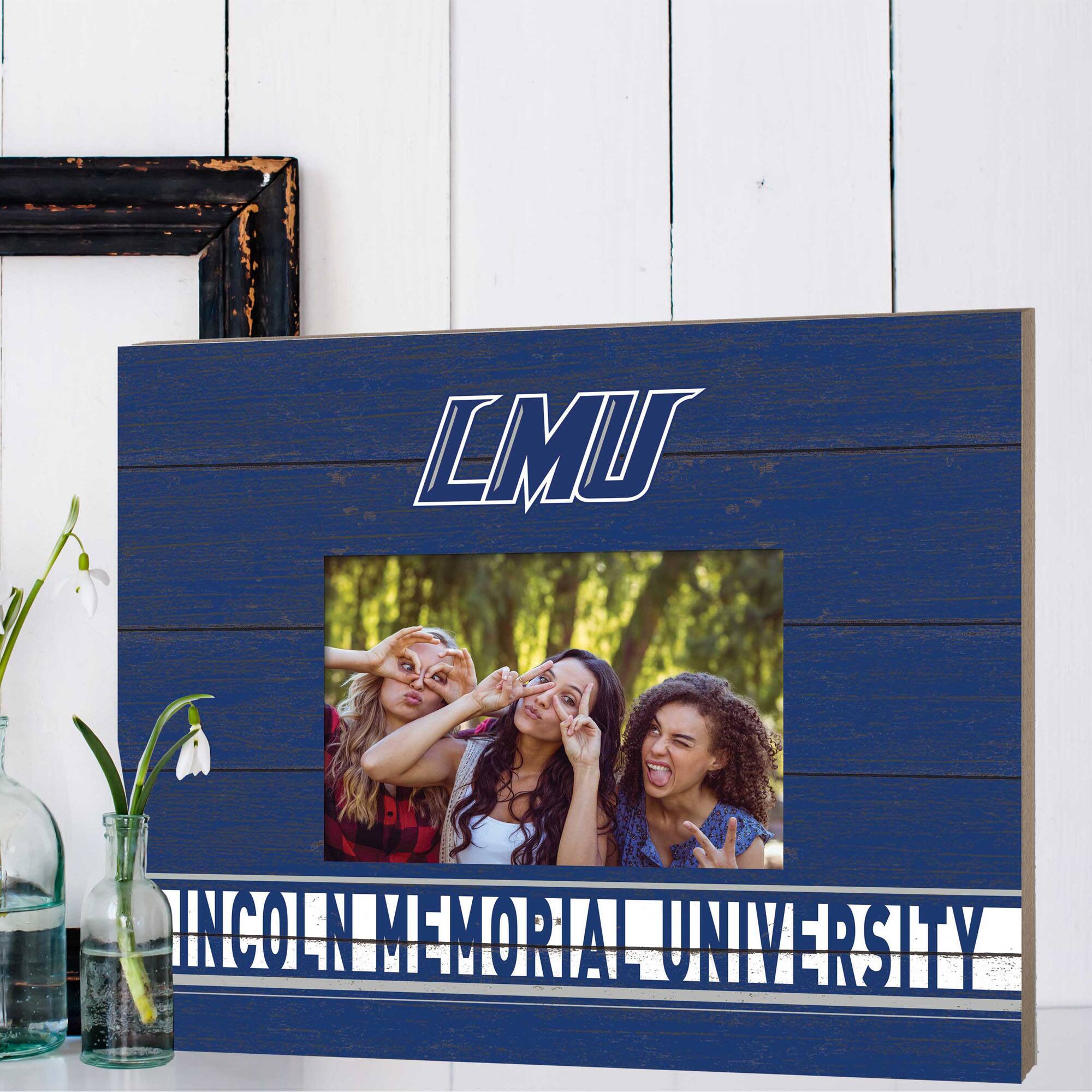 LMU LINCOLN MEMORIAL UNIVERSITY