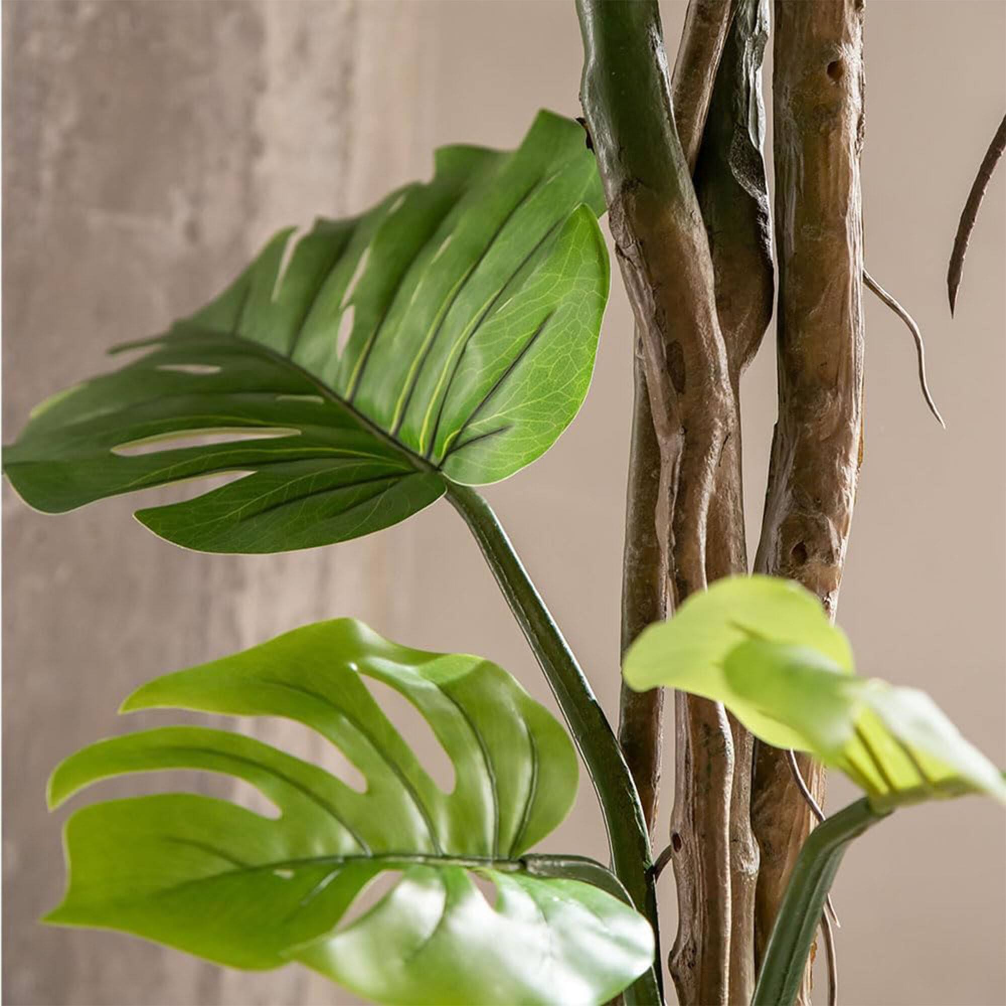 Alt View 8. Maia Shop - Maia Shop Artificial Monstera Plant 5 Feet Tall Tropical Palm Tree, 62 inches - Green.