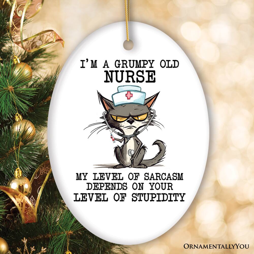I'M A GRUMPY OLD NURSE

MY LEVEL OF SARCASM DEPENDS ON YOUR LEVEL OF STUPIDITY

ORNAMENTALLY YOU