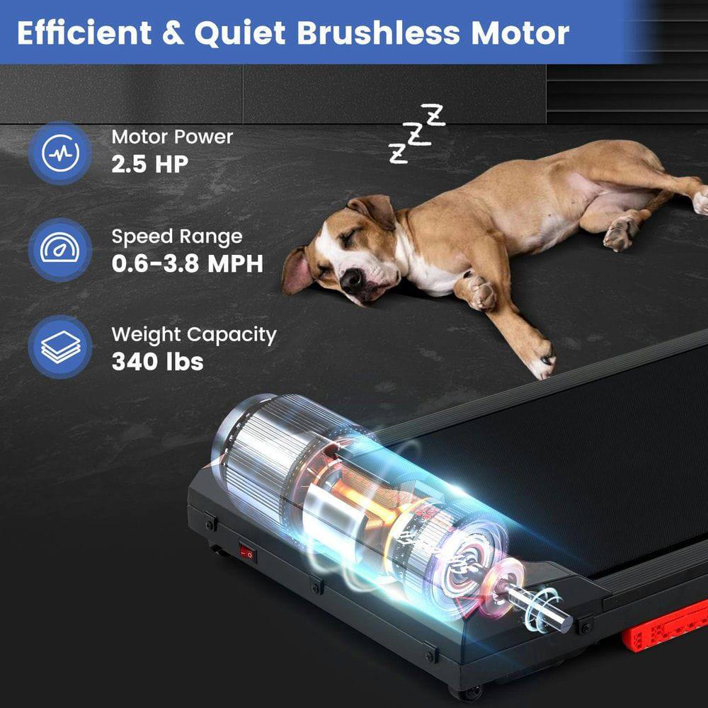 Efficient & Quiet Brushless Motor

- Motor Power: 2.5 HP
- Speed Range: 0.6–3.8 MPH
- Weight Capacity: 340 lbs