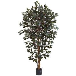 BreeBe - 6' Capensia Ficus Tree x 3 w/1008 Lvs - Green