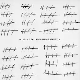 Submotion Orchestra - Passed Me by - VINYL LP