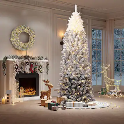 The text on the image reads:
- "Ayla"