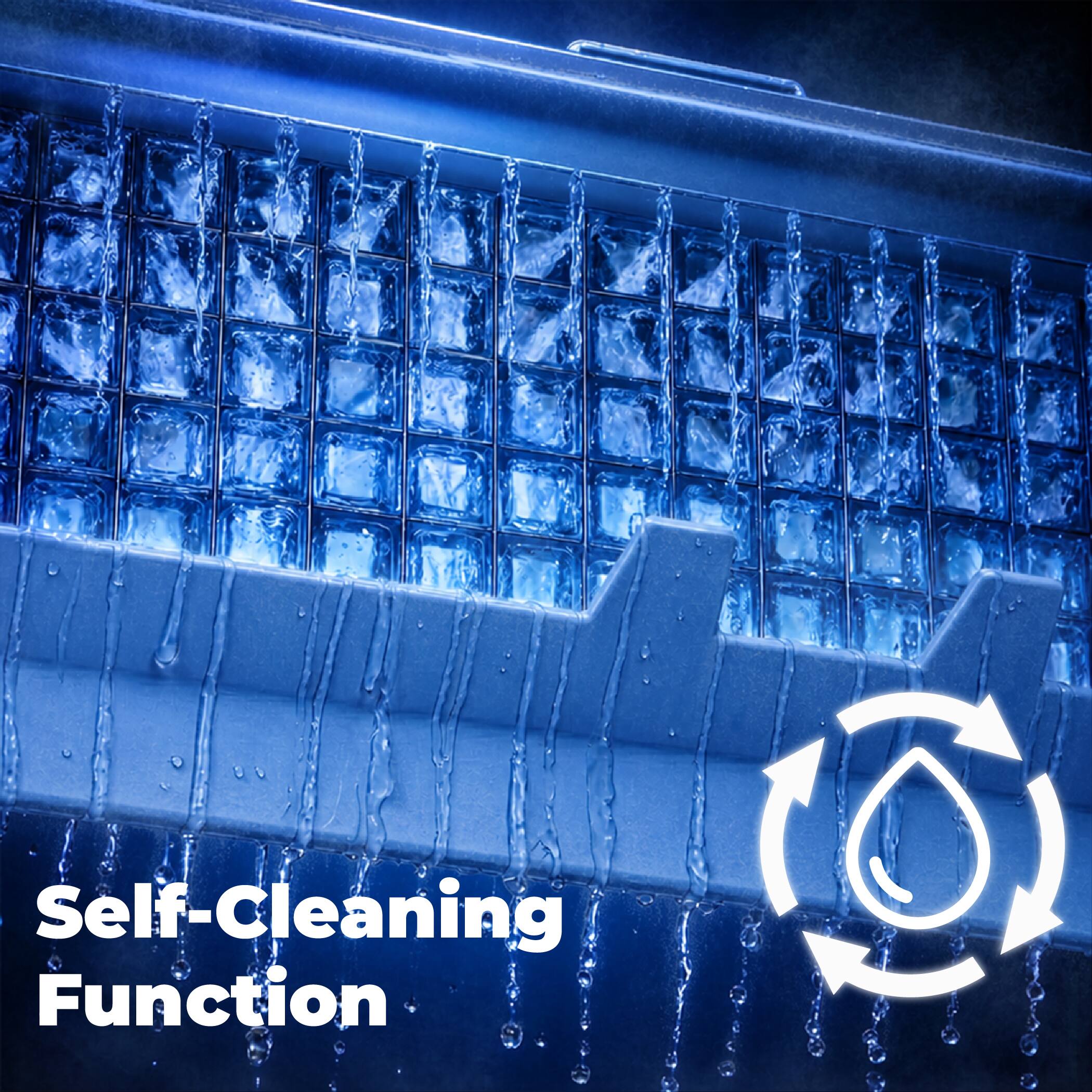 Self-Cleaning Function