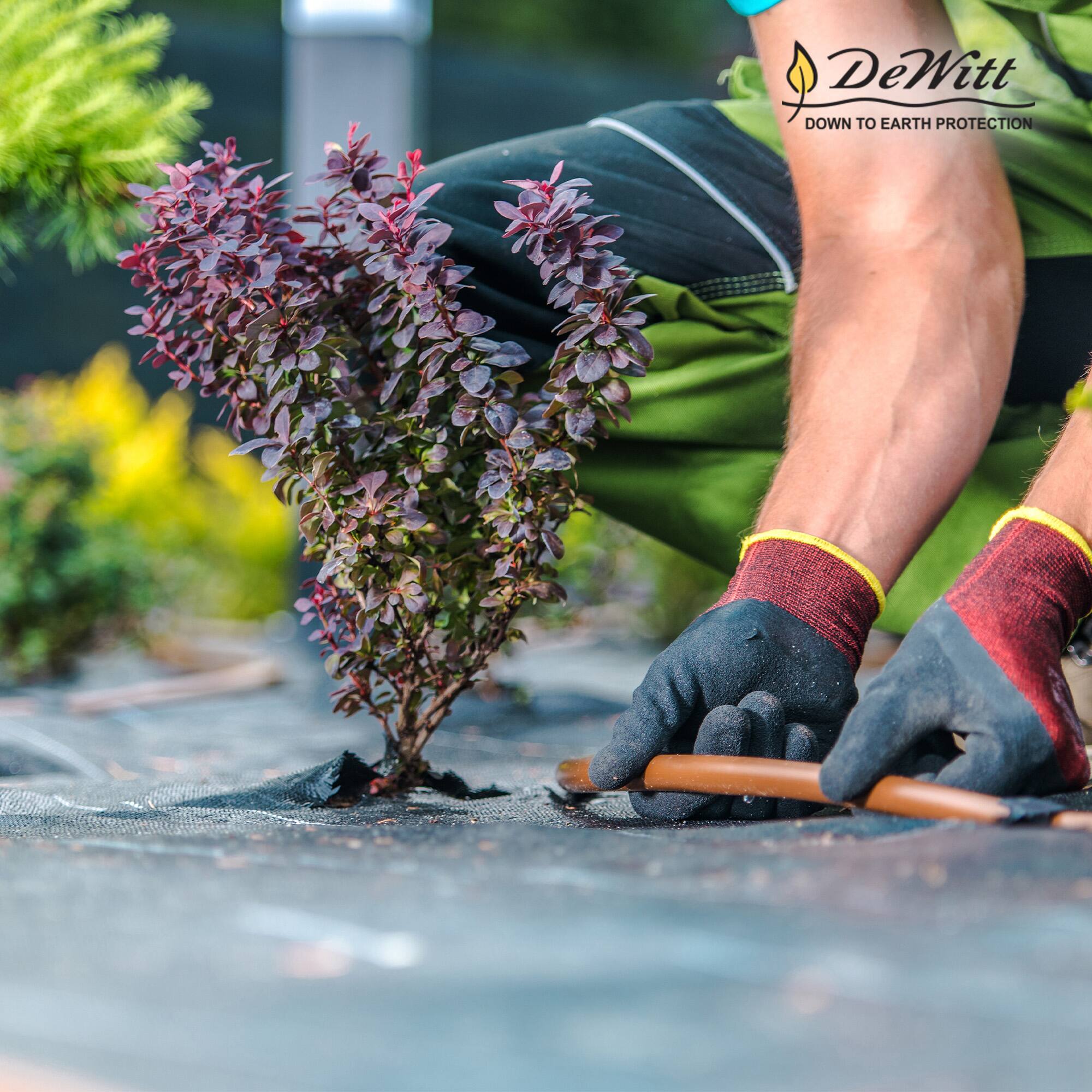 DeWitt  
DOWN TO EARTH PROTECTION