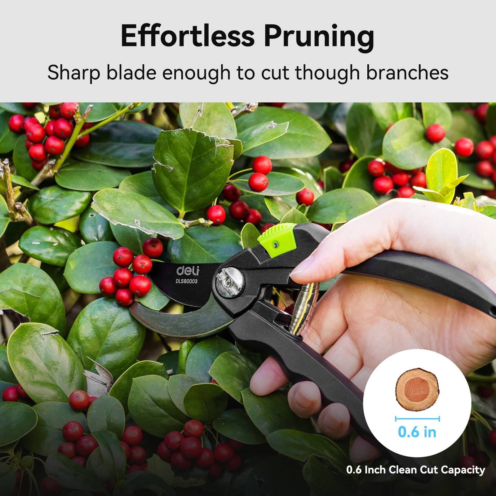 Effortless Pruning  
Sharp blade enough to cut through branches  
deli DLSG0003  
0.6 Inch Clean Cut Capacity