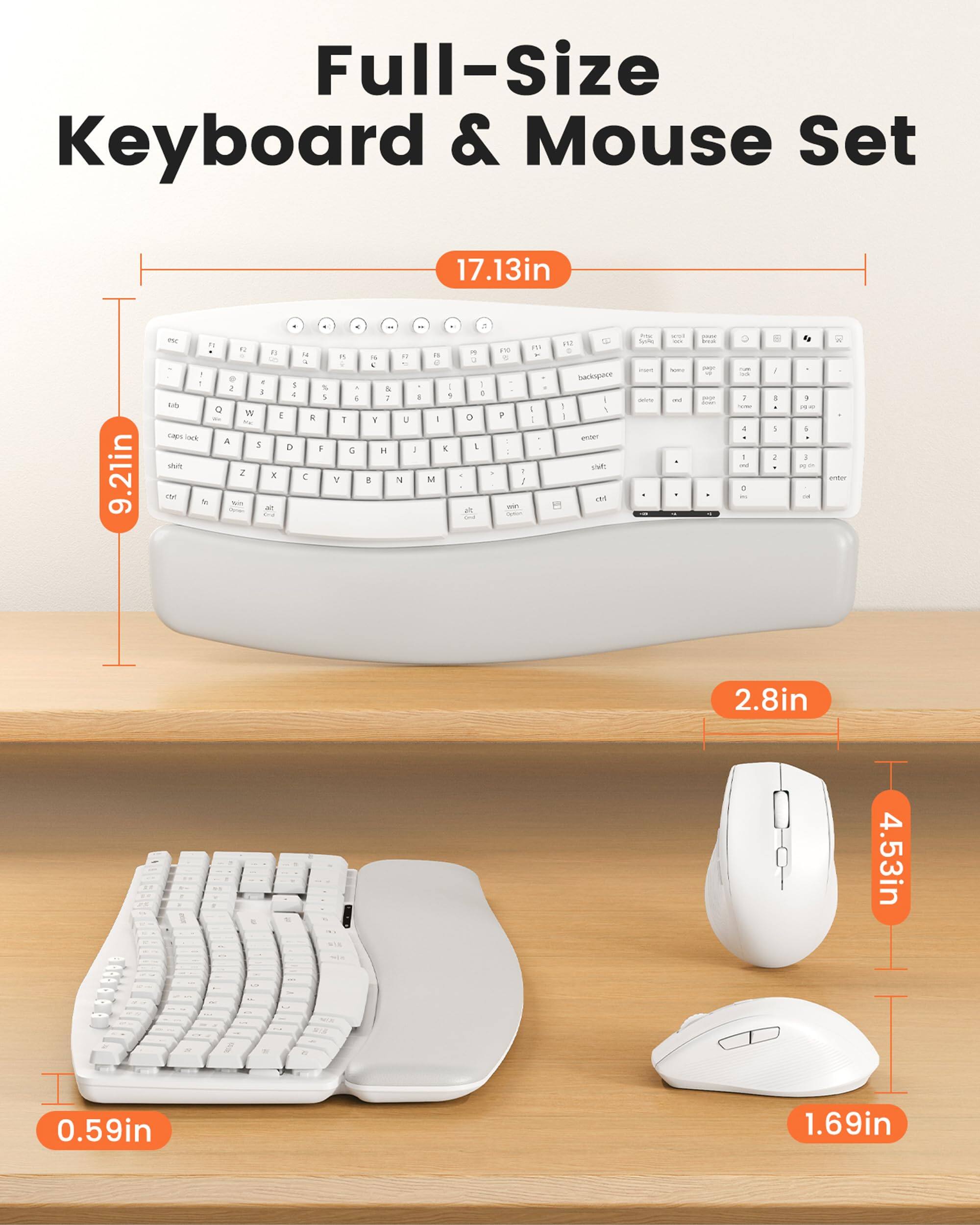 Full-Size Keyboard & Mouse Set

17.13in
9.21in
esc 1 2 3 4 5 6 7 8 9 0 - = backspace
tab Q W E R T Y U I O P
caps lock A S D F G H J K L
shift Z X C V B N M , . /
ctrl fn win alt

2.8in
4.53in
0.59in
1.69in