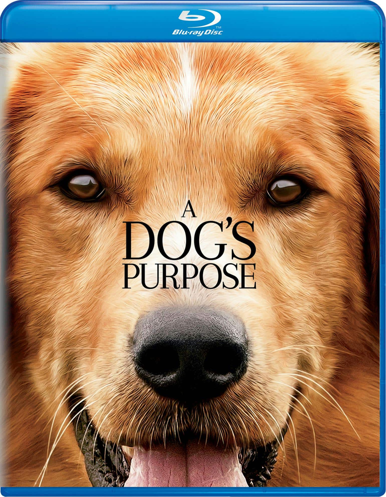 Front. A Dog's Purpose (Blu-ray New Box Art) [Blu-ray].