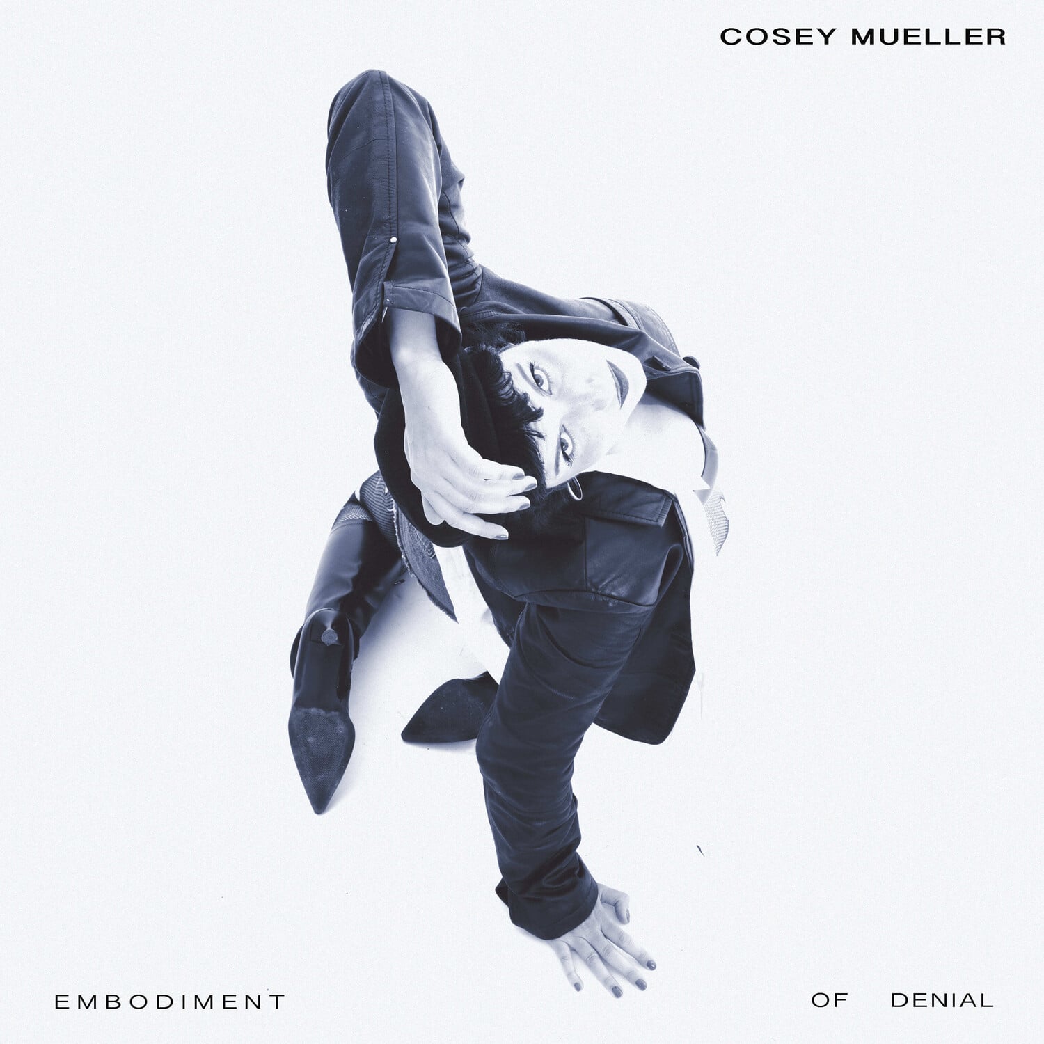 Cosey Mueller - Embodiment of Denial   - COMPACT DISCS [CD] price history on PriceWatchPro