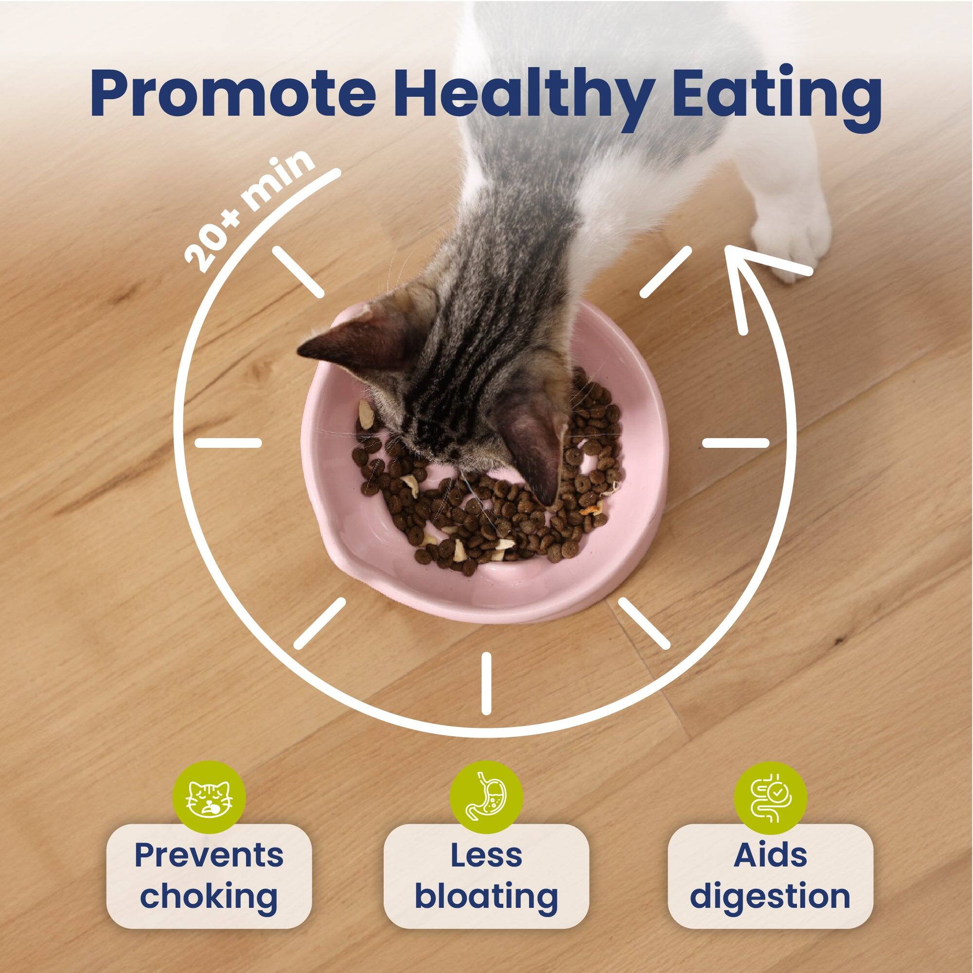 Promote Healthy Eating min 20+  
- Prevents choking  
- Less bloating  
- Aids digestion