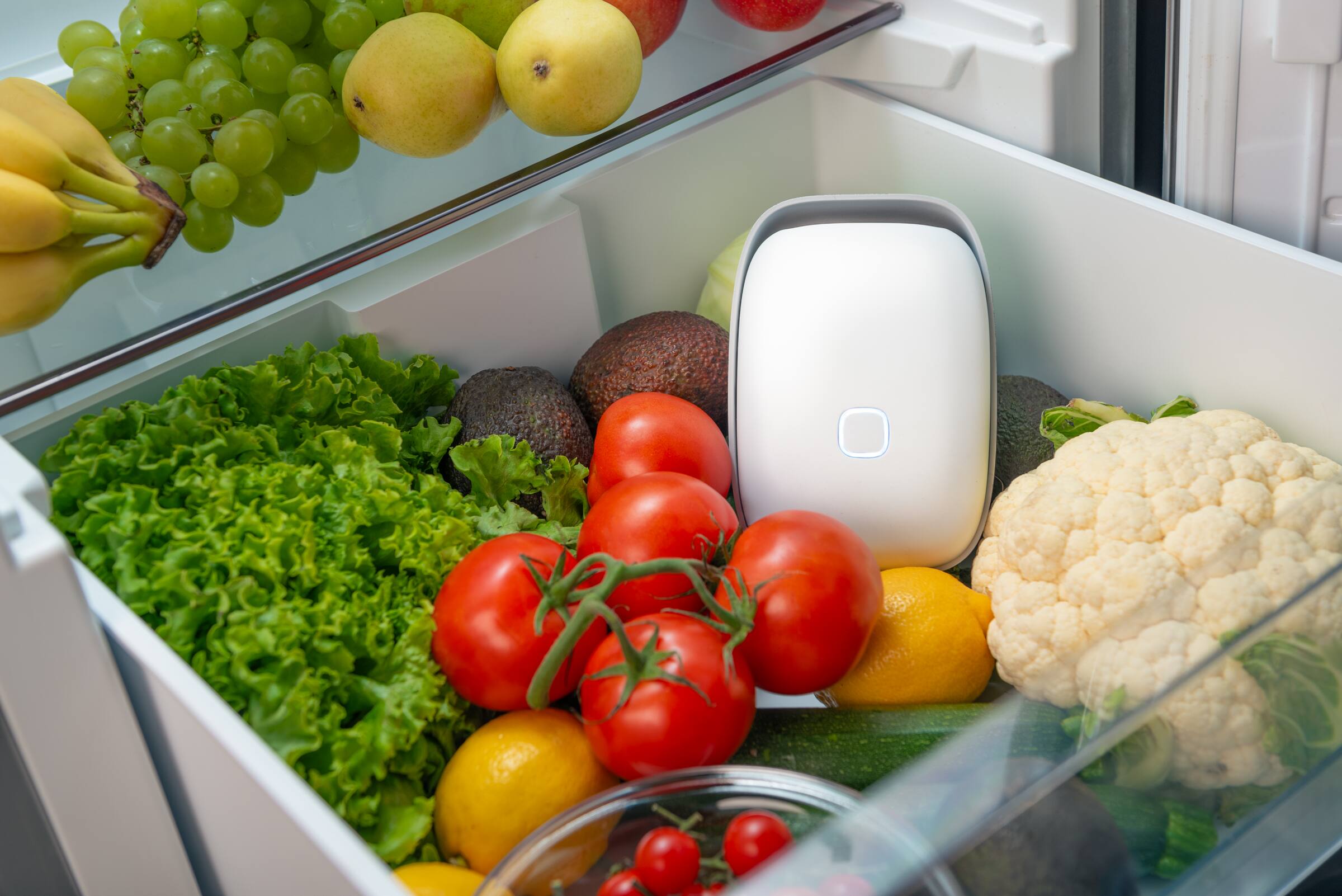 Left. Vitesy - SHELFY Smart Refrigerator Device, Extends Food Freshness and Reduces Food Waste, Removes Bad Odors, Washable Filter - White.
