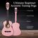 Ultimate Beginner Acoustic Tuning Pegs
- Tuning Pegs
- Nylon Strings
- Rosette
- Handcrafted Hardwood
- Classic Shape