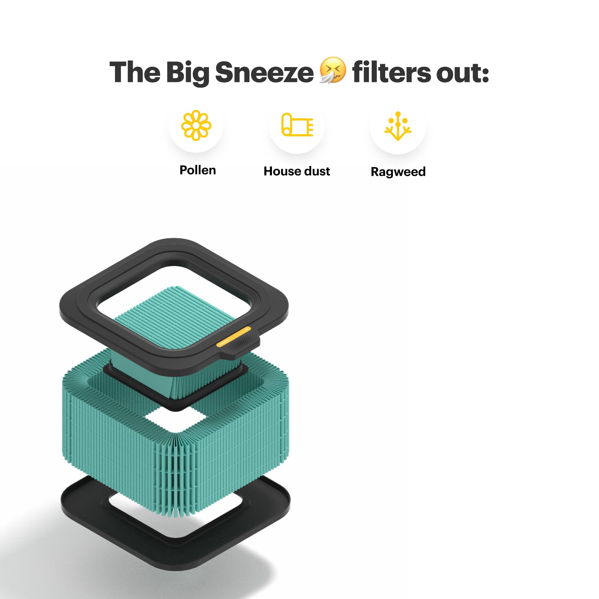 The Big Sneeze filters out: Pollen, House dust, Ragweed.