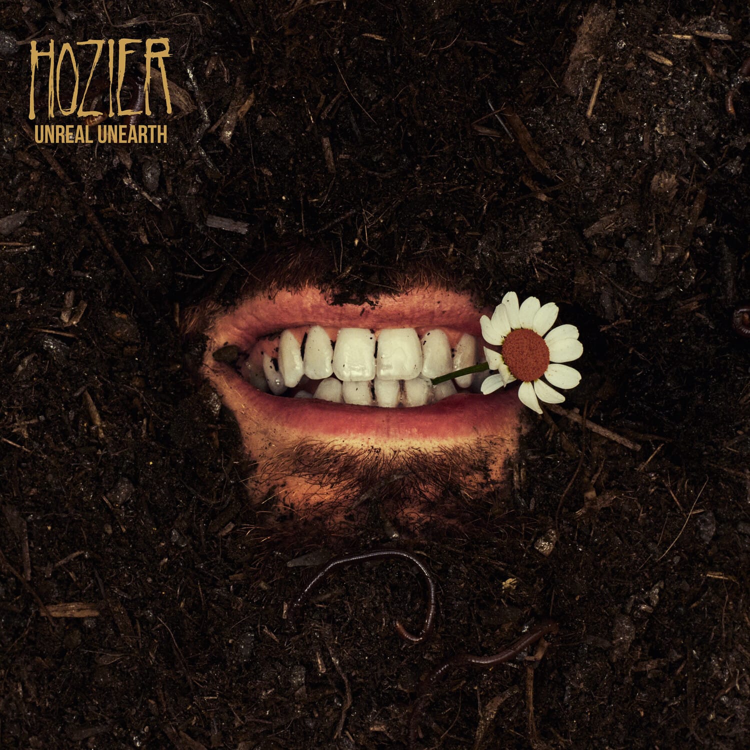 Hozier - Unreal Unearth  - VINYL LP