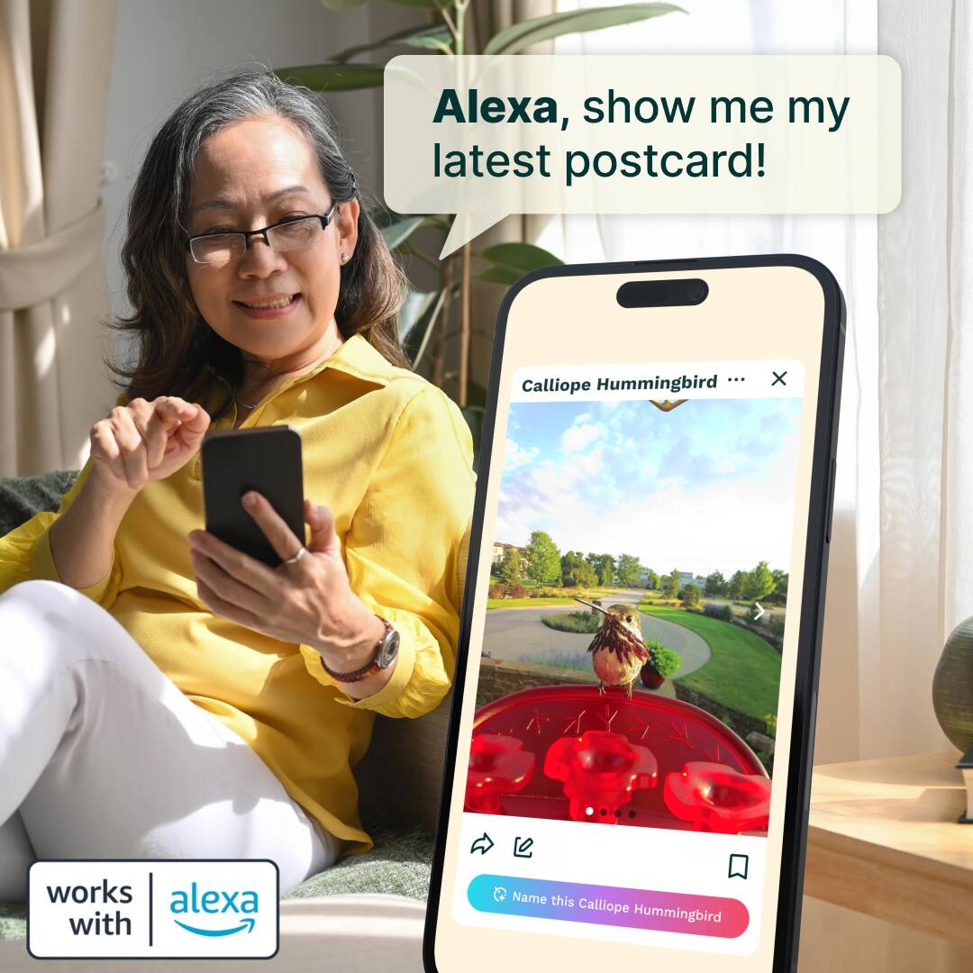 Alexa, show me my latest postcard!