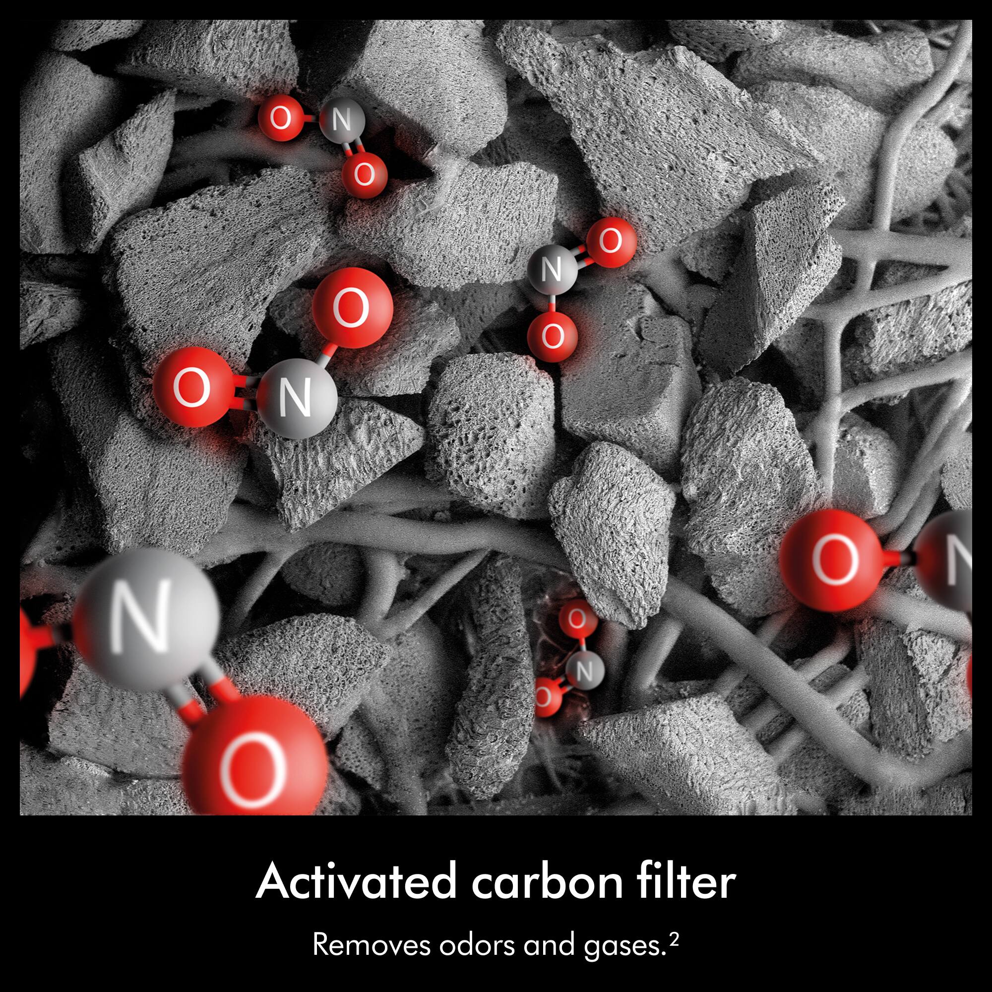 Activated carbon filter  
Removes odors and gases.2