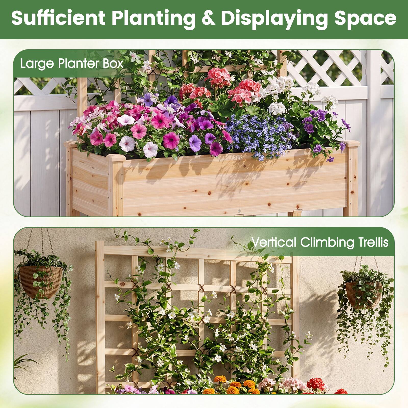 Sufficient Planting & Displaying Space

Large Planter Box

Vertical Climbing Trellis