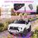 EASY-TO-OPERATE CONTROLS
- One Button Start
- Headlight Control
- 2-Level Speed Control Panel
- Forward/Backward
Control Panel
Accelerator Pedal
2SAM402 A8 B