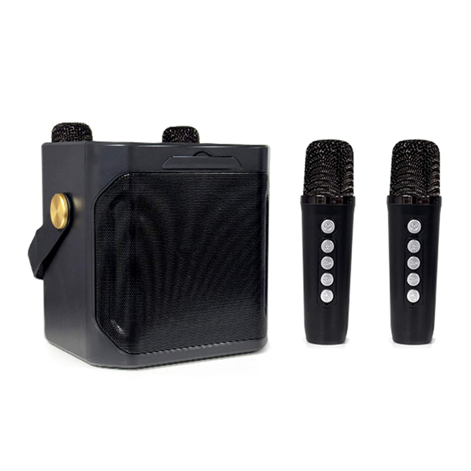 Photos - Audio System Topteng - 10W Portable Karaoke Speaker with 2 Wireless Mics - Bluetooth 5.3, TF/USB/AUX, 2000mAh Battery for Home & Outdoor​