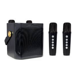 Topteng - 10W Portable Karaoke Speaker with 2 Wireless Mics - Bluetooth 5.3, TF/USB/AUX, 2000mAh Battery for Home & Outdoor - Black