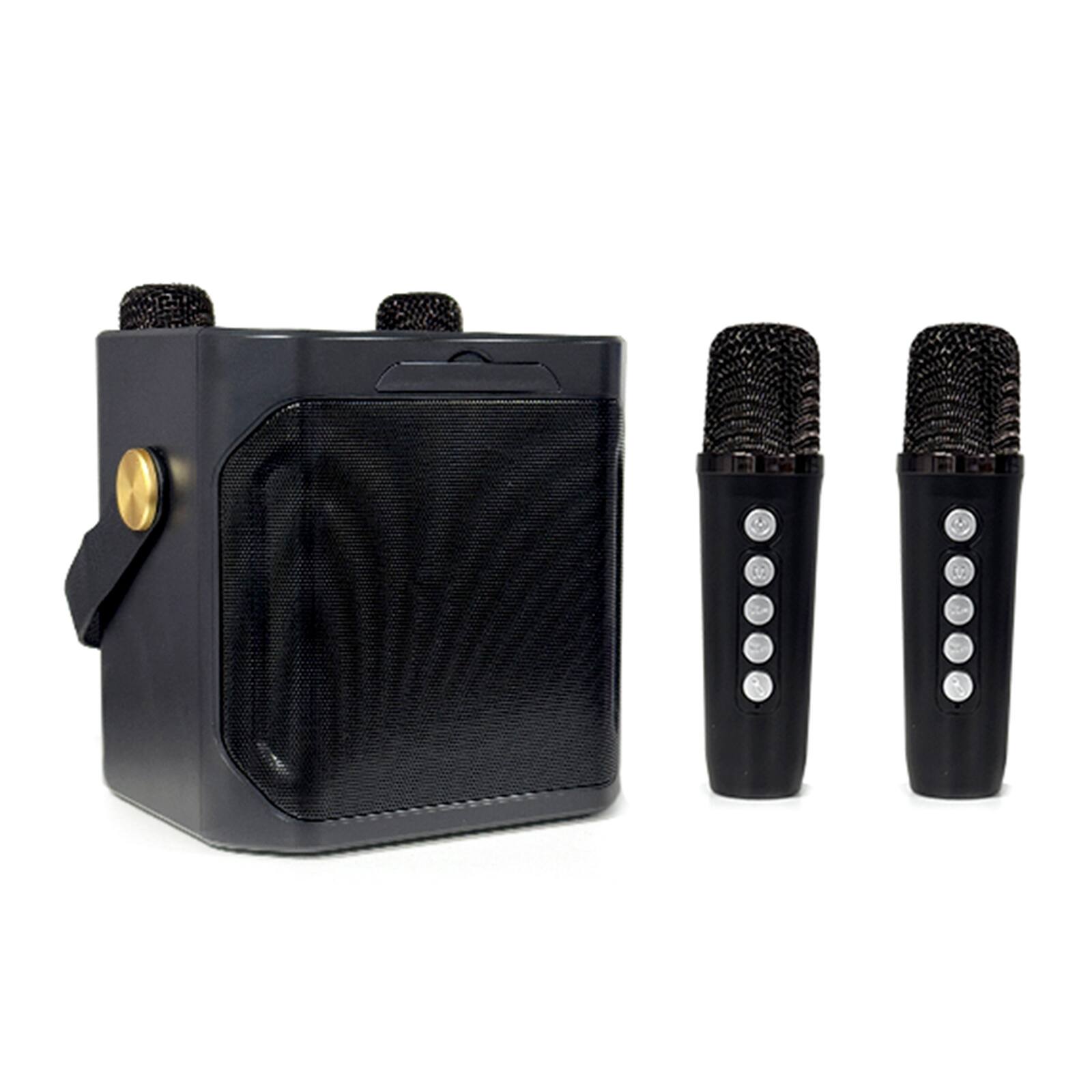 Front. Topteng - 10W Portable Karaoke Speaker with 2 Wireless Mics - Bluetooth 5.3, TF/USB/AUX, 2000mAh Battery for Home & Outdoor​-Black - Black.