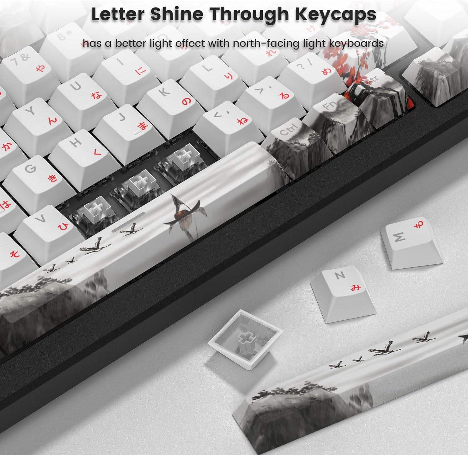 Letter Shine Through Keycaps  
has a better light effect with north-facing light keyboards