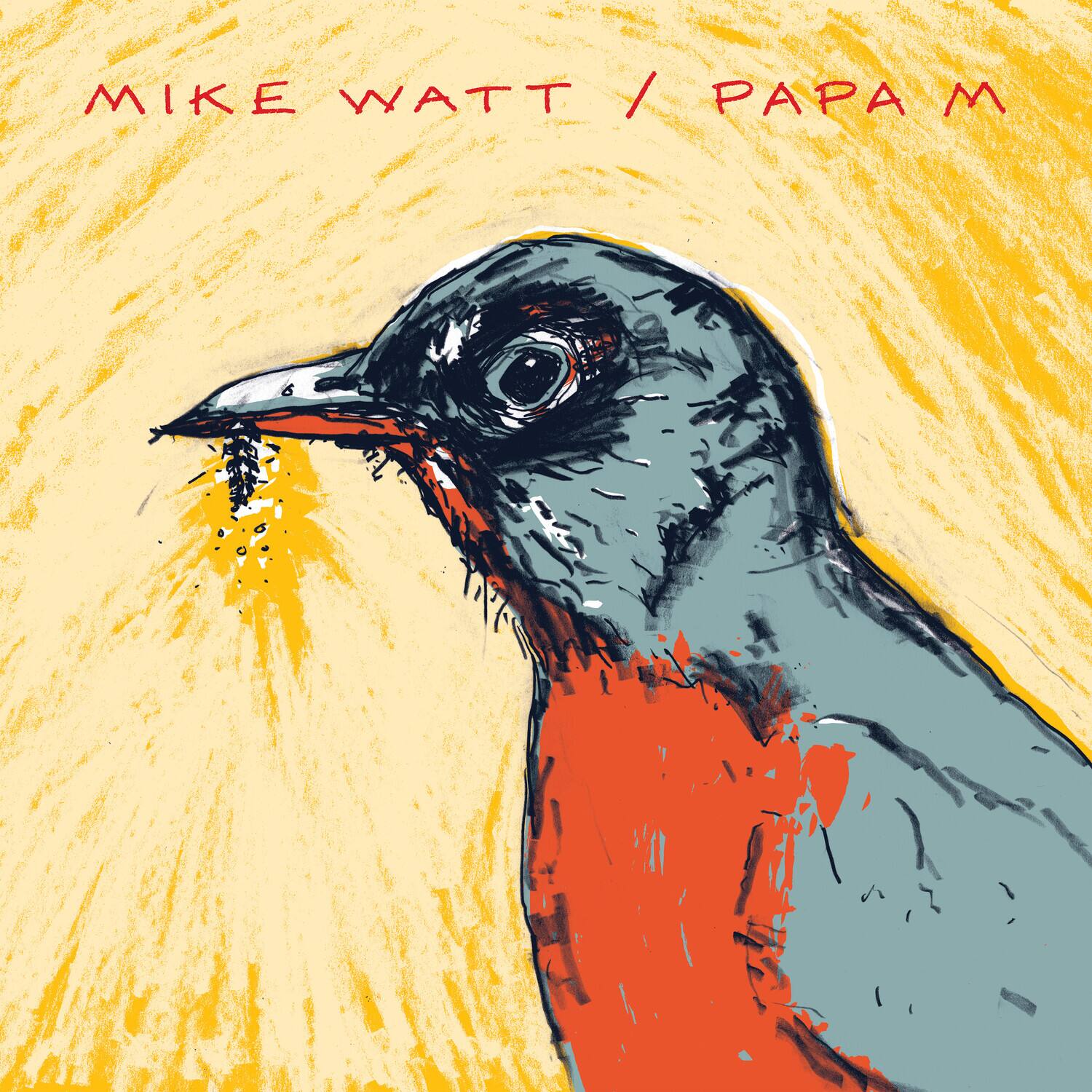 MIKE WATT / PAPA M