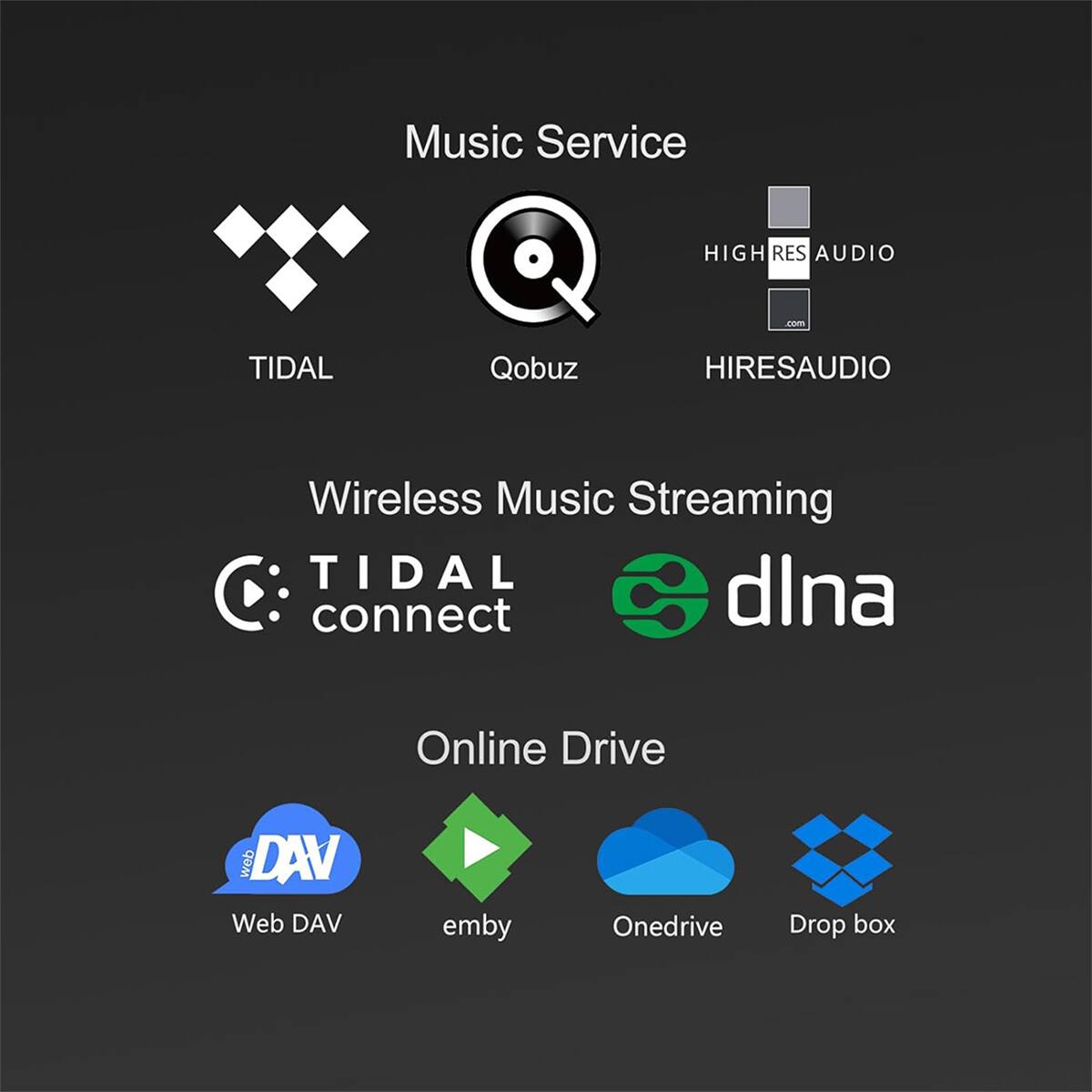 Music Service  
- TIDAL  
- Qobuz  
- HIGHRESAUDIO  

Wireless Music Streaming  
- TIDAL connect  
- dlna  

Online Drive  
- Web DAV  
- emby  
- Onedrive  
- Drop box