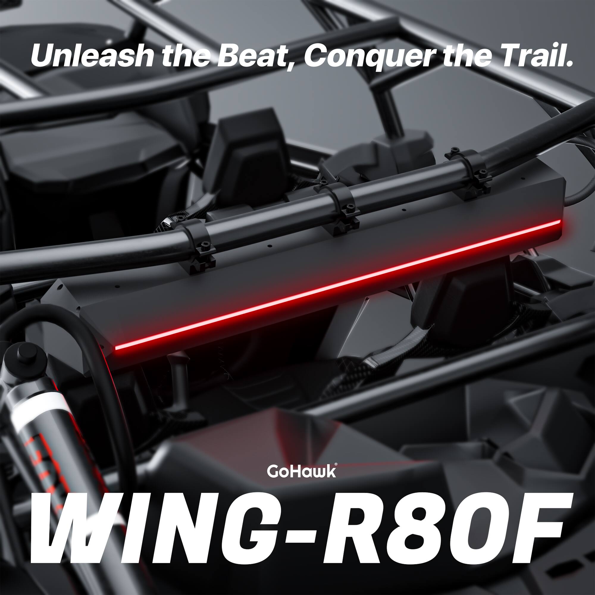 Unleash the Beat, Conquer the Trail.

GoHawk WING-R80F