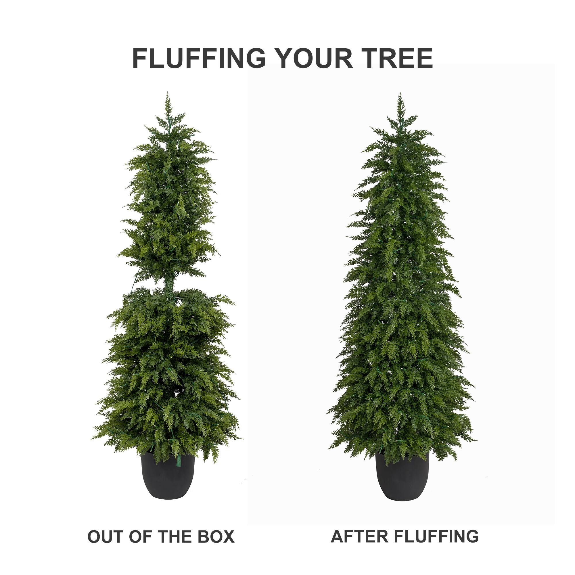 FLUFFING YOUR TREE

OUT OF THE BOX

AFTER FLUFFING