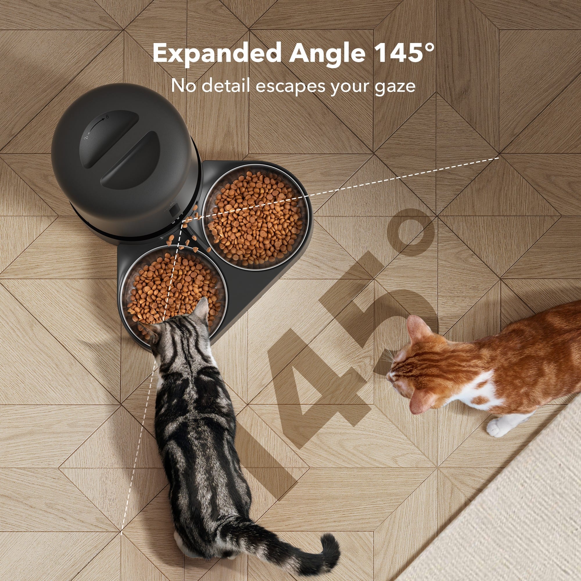 The text on the image reads "Expanded Angle 145 No detail escapes your gaze 45".