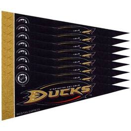Rico Industries - Anaheim Ducks NHL Mini Pennant - Set of 8 - Multi