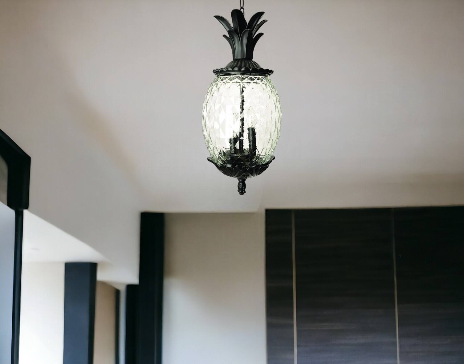Angle. Hivvago - Hivvago Lanai 3-Light Black Coral Hanging Light - Black.
