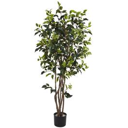 BreeBe - 5' Ficus Bushy Tree w/780 Lvs - Green
