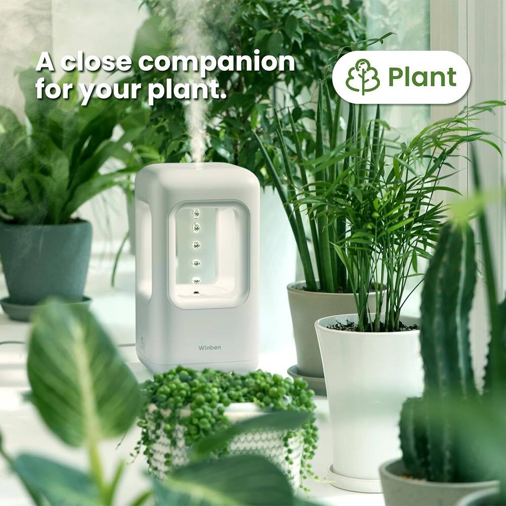 A close companion for your plant.

Plant

Winben