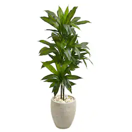 BreeBe - 4' Dracaena Plant in Sand Colored Planter (Real Touch) - Green