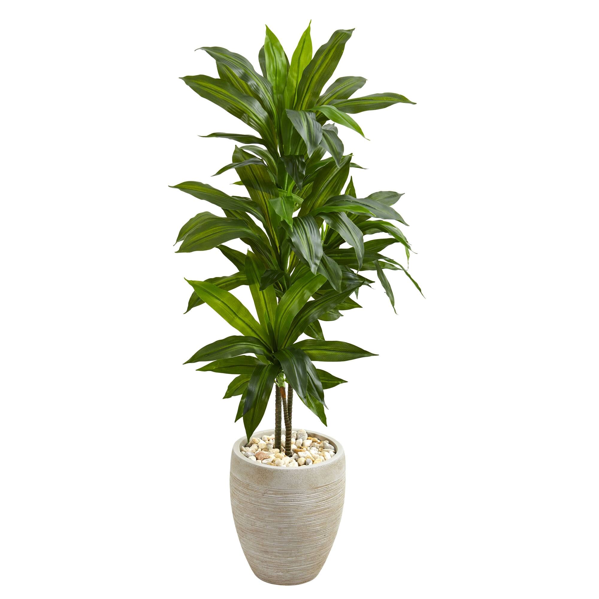 Front. BreeBe - 4' Dracaena Plant in Sand Colored Planter (Real Touch) - Green.