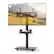 Front. Gymax - Gymax Rolling TV Stand on Wheels w/30 Degree Tilt Mount Adjustable Shelf & Cable Management Walnut & Black - Black.